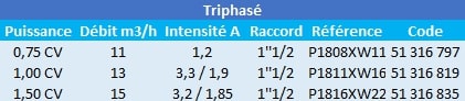 Caractéristiques de ces pompes de piscine Max Flo triphasées.