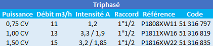 Caractéristiques de ces pompes de piscine Max Flo triphasées