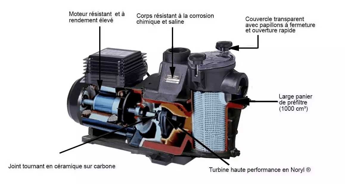 Caractéristiques de ces pompes de piscine Max Flo monophasées et triphasées.