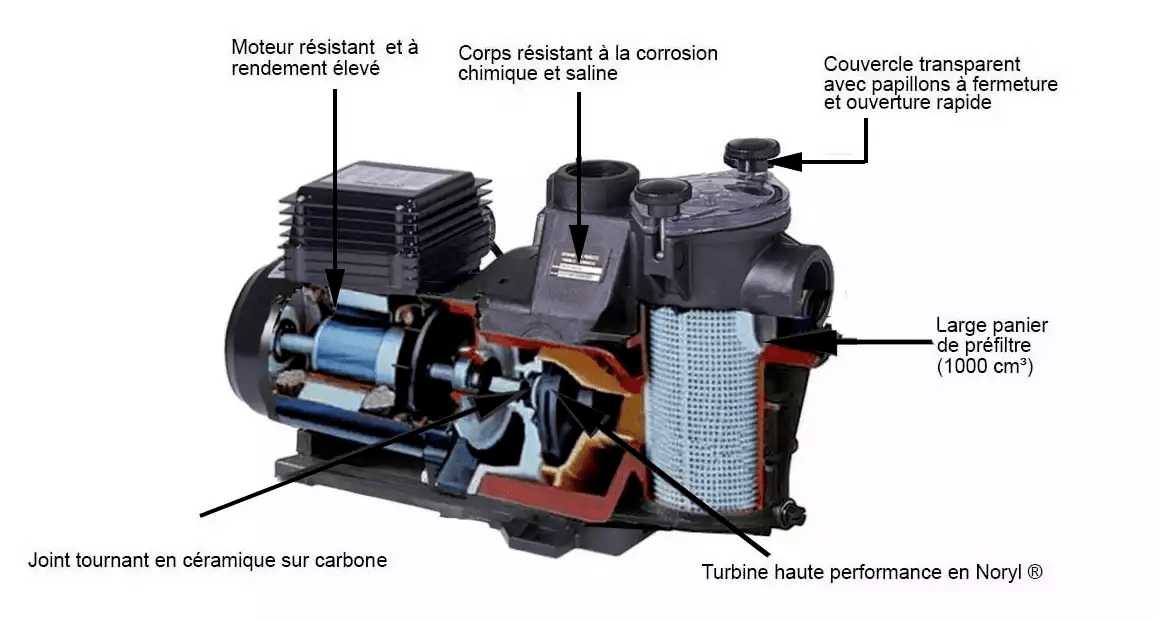 Caractéristiques de ces pompes de piscine Max Flo monophasées et triphasées