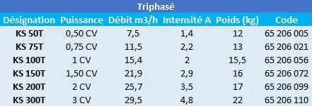 Caractéristiques de ces pompes de piscine Kripsol triphasées.