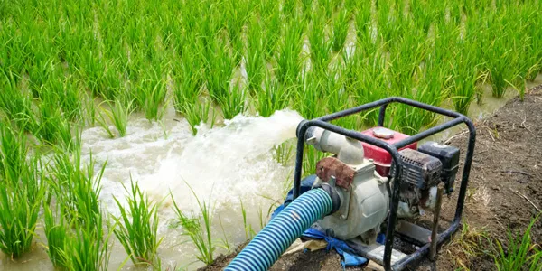 Achat pompe à eau pour arrosage et jardin à prix bas