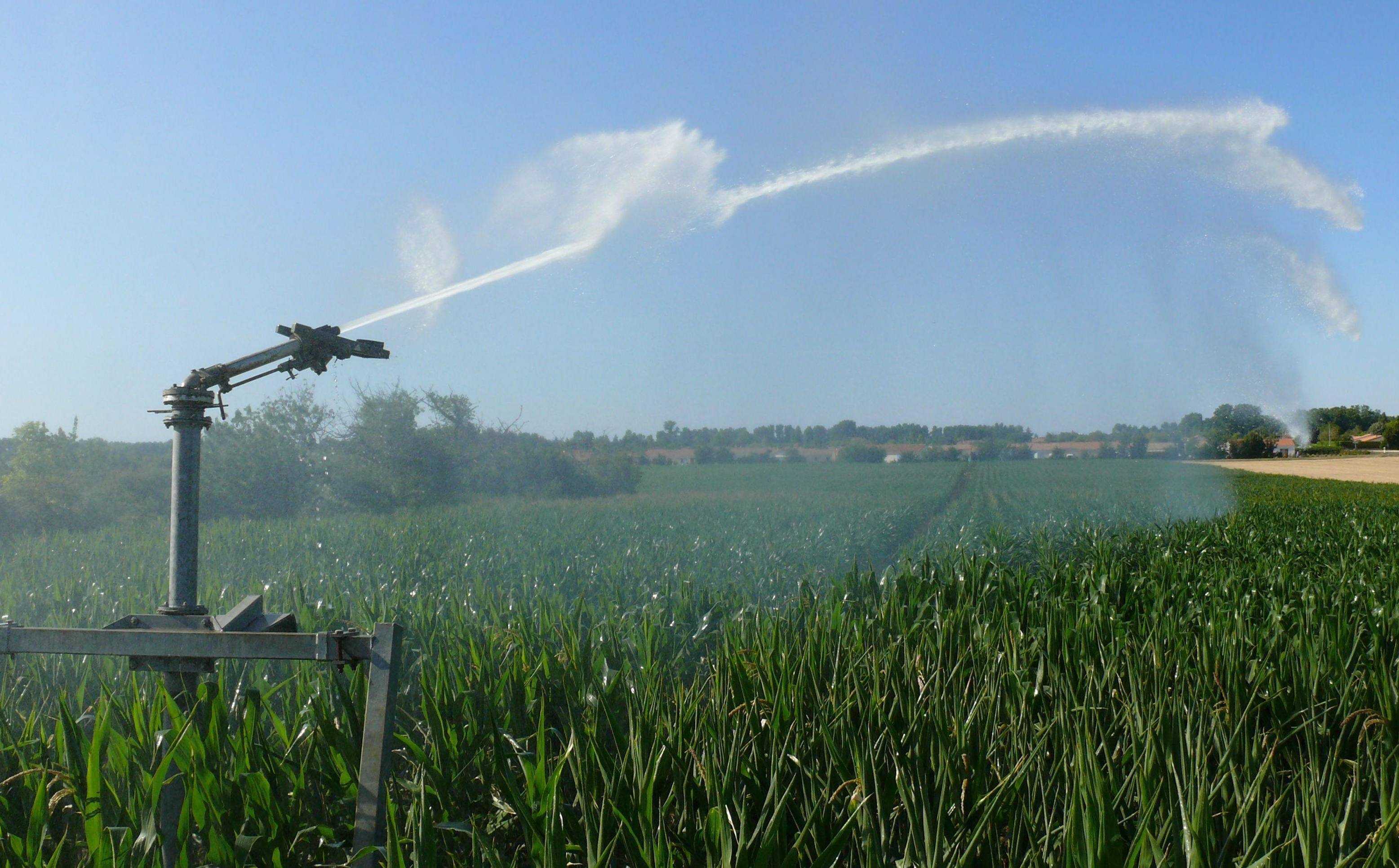 Irriguer vos cultures grâce à une pompe de surface solaire Lorentz