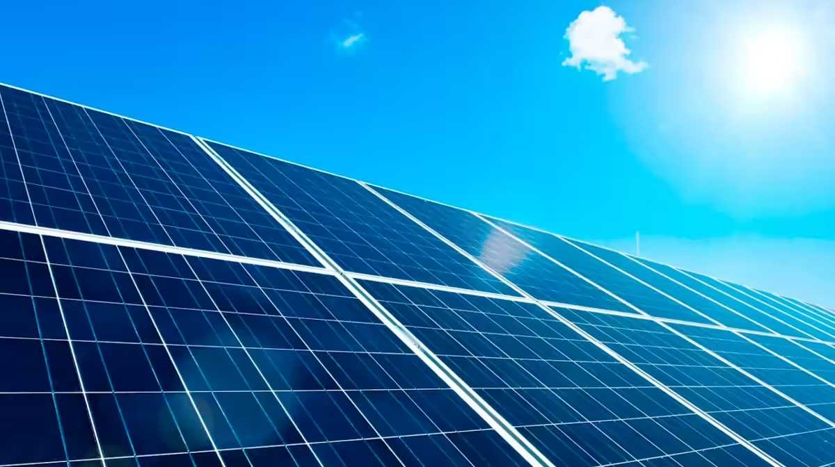 Les 24 panneaux solaires permettent de capter un maximum d'énergie pour faire fonctionner la pompe immergée