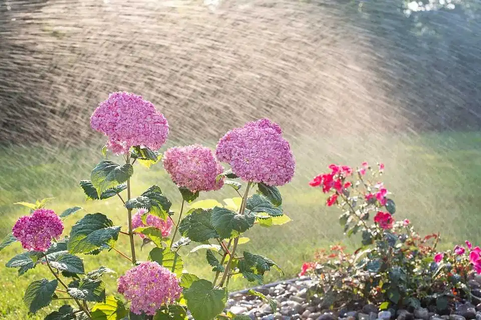 Les pompes immergées Jetly sont particulièrement utiles pour l'arrosage de votre jardin.