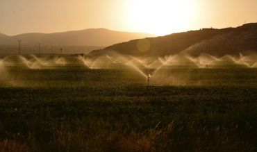 Améliorez l'irrigation de votre jardin avec les pompes de forage Speroni SX4 pour un débit de 1,2 à 1,8 m3/h