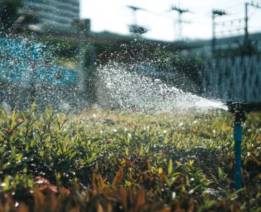 La pompe immergée Speroni SX25/21 et 25/28 en monophasé et en triphasé permet l'irrigation de votre jardin ou de vos cultures.